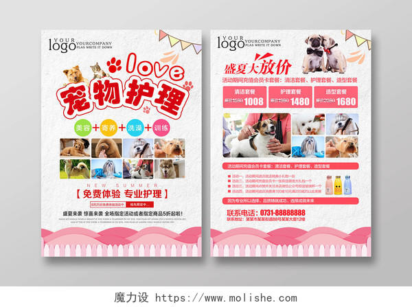 粉色清新宠物店宣传单宠物护理动物单页